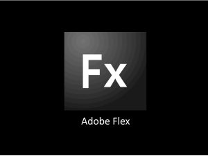 Adobe-Flex-1-2048-e1729193716156.jpg