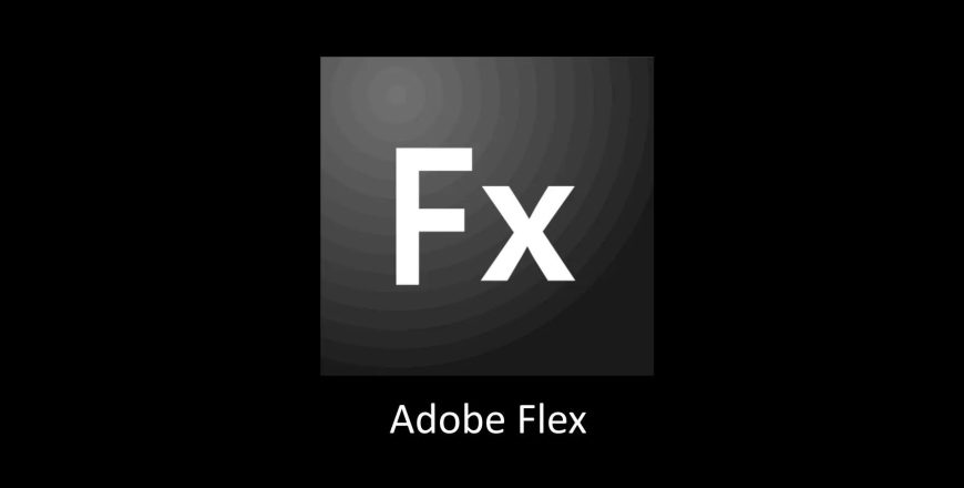 Adobe-Flex-1-2048-e1729193716156.jpg